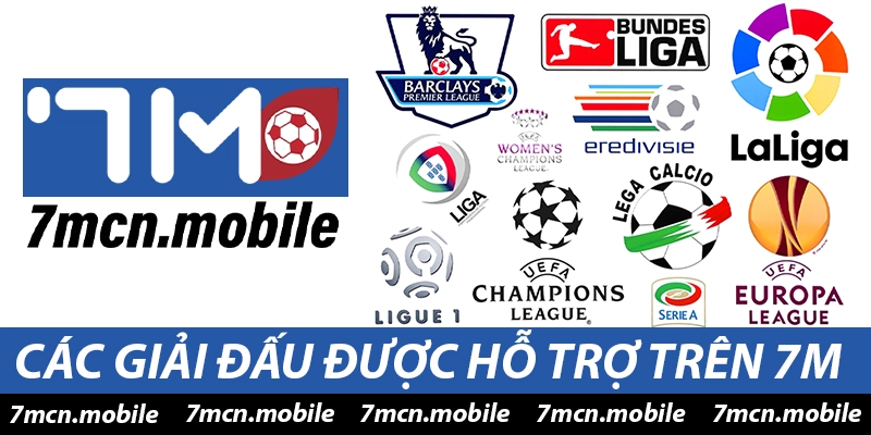 Các giải đấu được hỗ trợ trên 7m