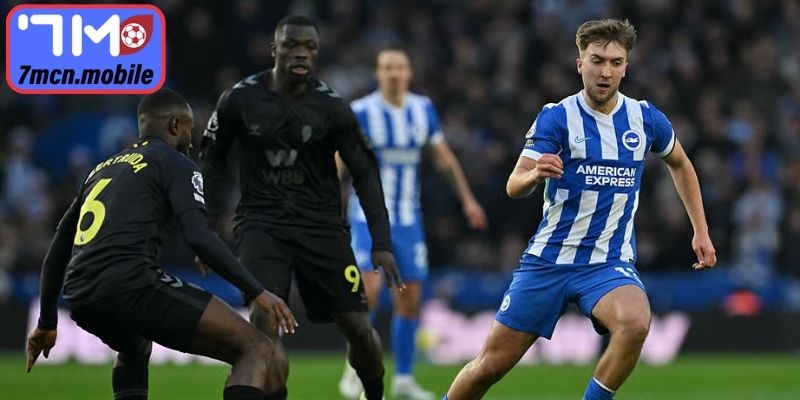 Lịch sử từng chạm trán của Sunderland vs Brighton Hove Albion (22:00 14/03)